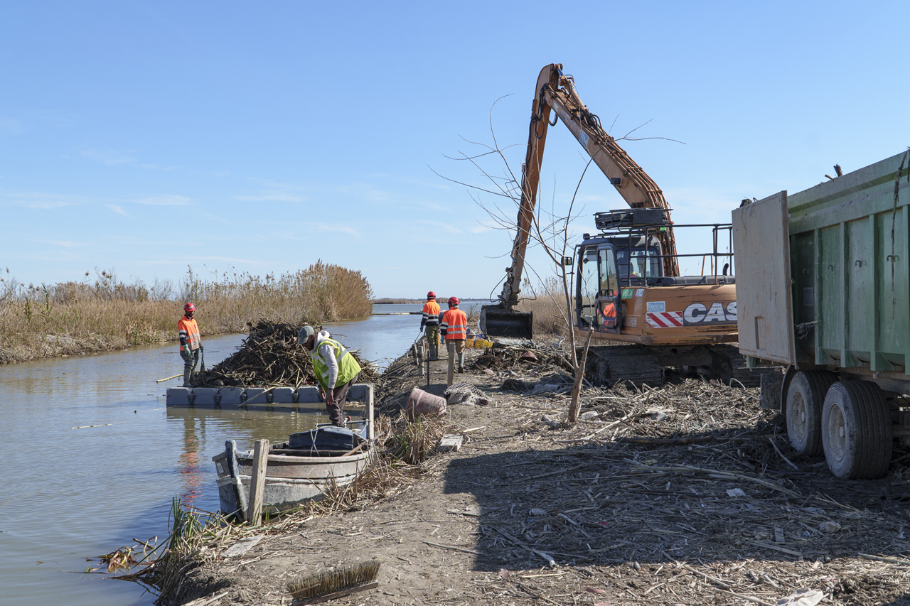 Servicio de emergencia para retirada de residuos en la albufera de valencia